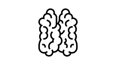 Thymus of immune system line icon animation Stock Footage 224395997