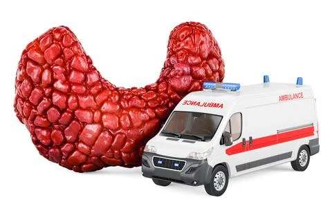 Thyroid  with ambulance van, 3D rendering Stock Illustration