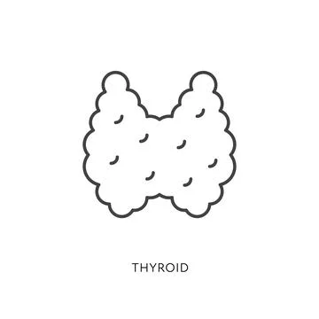 Thyroid anatomy symbol Stock Illustration
