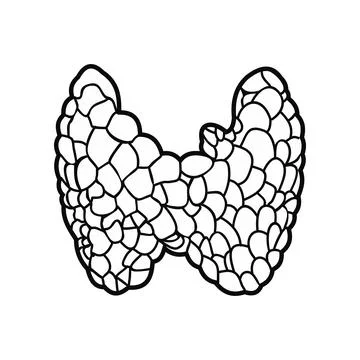 Thyroid black icon Illustrazione stock