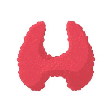Thyroid cartoon icon イラスト素材