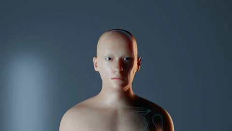 Thyroid function in human body animation Video stock 130640182