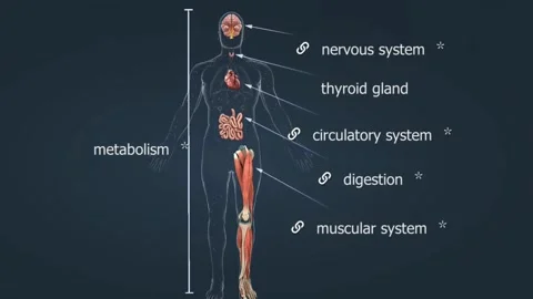Thyroid gland Stock Footage 282131648