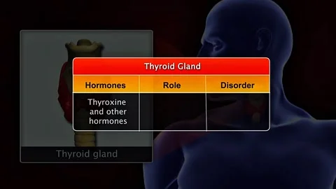Thyroid gland hormones roles and disorder Stock Footage 322550404