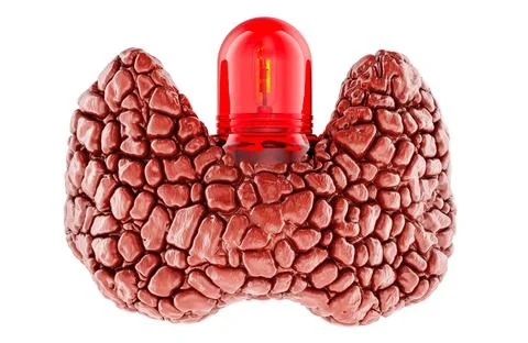 Thyroid gland with red warning beacon. Thyroid disease or alert, concept. 3.. イラスト素材