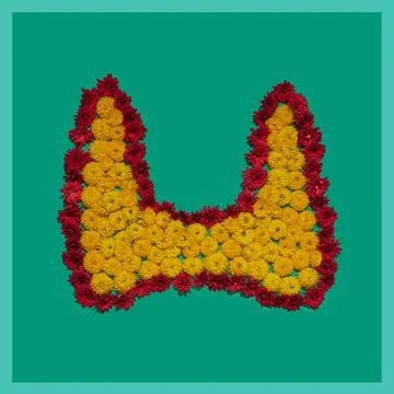 Thyroid gland. Shape of human thyroid, installation of flowers on green backg Stock Photos