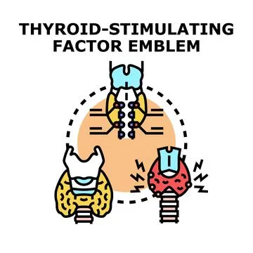 Thyroid gland stimulating factor medical concept Stock Illustration