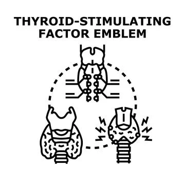 Thyroid gland stimulating factor medical concept Stock Illustration