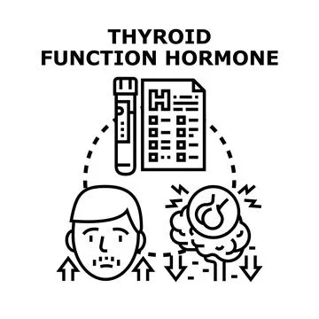 Thyroid hormone function measuring with medical test Stock Illustration