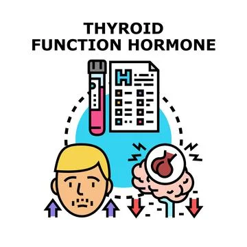 Thyroid hormone function measuring with medical test Stock Illustration