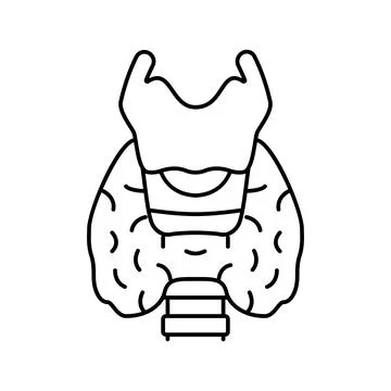 Thyroid human organ line icon vector illustration Stock Illustration