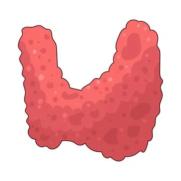 Thyroid illustration Stock Illustration