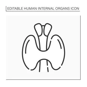 Thyroid line icon Illustrazione stock