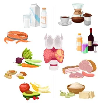 Thyroid Nutrition Vector Set. Good and Bad Food with Thyroid Organ in the Middle Illustrazione stock