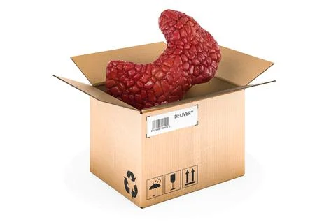 Thyroid in Parcel, 3D rendering isolated on white background Stock Illustration