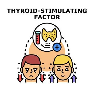 Thyroid stimulating factor impacting human hormones balance Stock Illustration