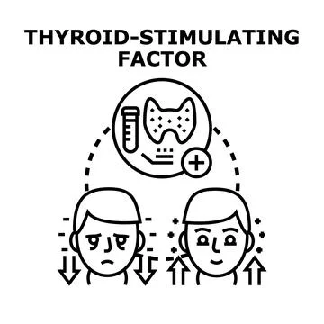 Thyroid stimulating factor impacting human hormones balance Stock Illustration