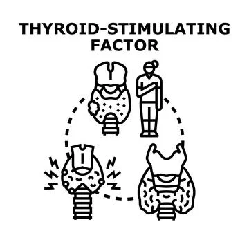 Thyroid stimulating factor medical research concept Stock Illustration