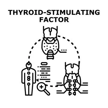 Thyroid stimulating factor medical research concept イラスト素材