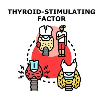 Thyroid stimulating factor medical research concept Stock Illustration