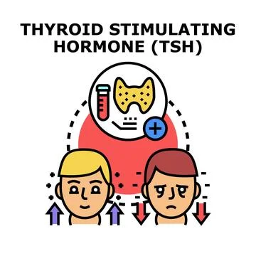 Thyroid stimulating hormone level concept illustration Illustration