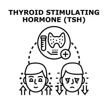 Thyroid stimulating hormone level concept illustration Illustration