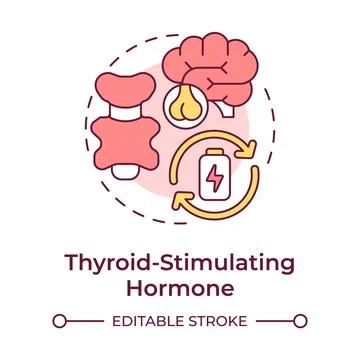 Thyroid stimulating hormone multi color concept icon Stock Illustration