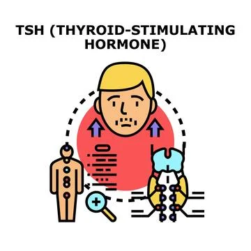 Thyroid stimulating hormone system medical test concept 스톡 일러스트