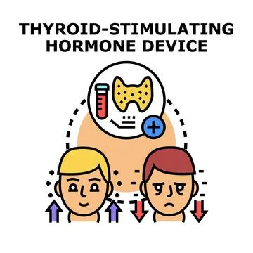 Thyroid stimulating hormone testing and health regulation Stock Illustration