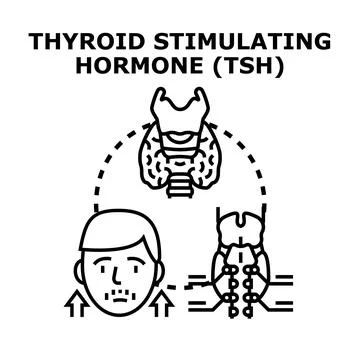 Thyroid stimulating hormone tsh medical concept Illustration