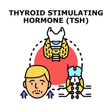 Thyroid stimulating hormone tsh medical concept Illustration