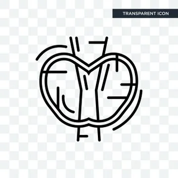 Thyroid vector icon isolated on transparent background, Thyroid logo design Illustrazione stock