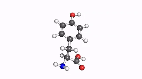 Thyrosine molecule, rotating model Stock Footage 79799668