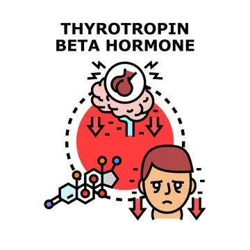 Thyrotropin beta hormone deficiency causing health problems Stock Illustration