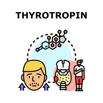 Thyrotropin hormone affecting human thyroid health Stock Illustration