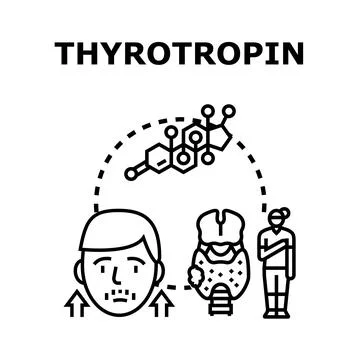 Thyrotropin hormone affecting human thyroid health Stock Illustration
