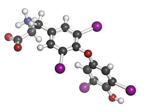 Thyroxine molecule, chemical structure. thyroid gland hormone that plays a ro Stock Illustration