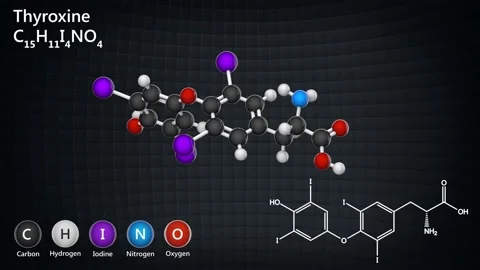 Thyroxine (T4). Seamless loop. Stock Footage 154734591