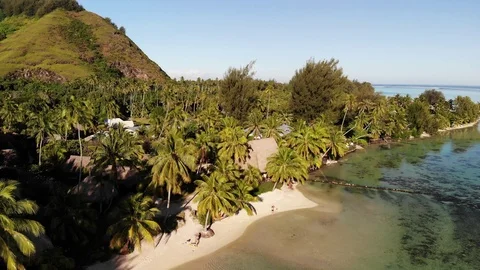 Tiahura, Moorea,French Polynesia Stock Footage 91408121