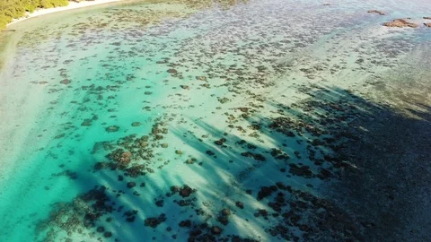 Tiahura, Moorea,French Polynesia Stock Footage 91408181