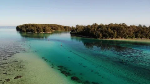 Tiahura, Moorea,French Polynesia Stock Footage 91408217