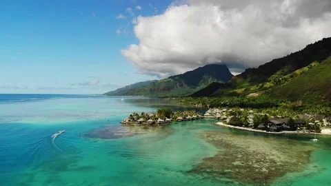 Tiahura, Moorea,French Polynesia Stock Footage 91408779