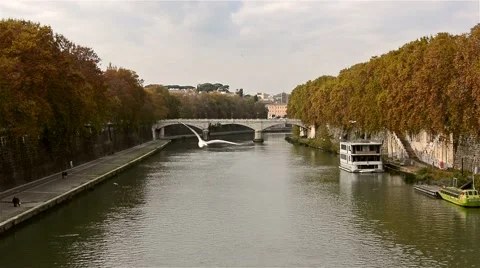 The Tiber River in autumn Video stock 65827400