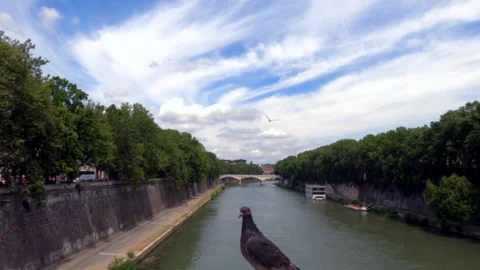 On the Tiber River - Full HD - ProRes Vídeos de archivo 156925064