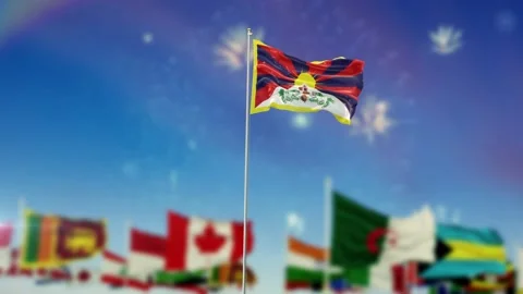 Tibet Flag With Flags Of The World And Fireworks Moring And Night 3D Rendering Stock-Footage 149959422