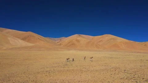 Tibet, Ngari area, sky full of loess, loess sand, difficult area, Stock Footage 241965448