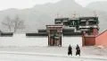 Tibetan Buddhist pilgrims pass by the Labrang Monastery, China HD Footage
