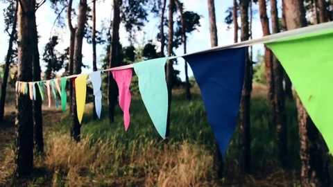Tibetan buddhist prayer flags blowing in the wind Stock Footage 70801904