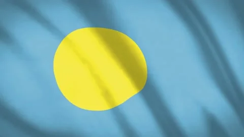 Tibetan Flag  Stock Footage 188170976