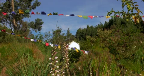 Tibetan flags in monastery waving in the wind Stock Footage 233106922